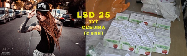 эйфоретик Ельня