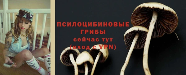 кокс Баксан